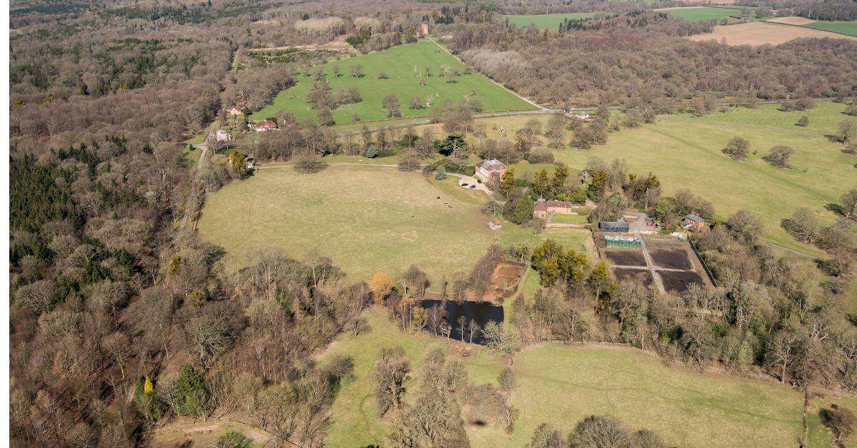 Photo of Forest Lodge