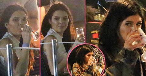 //kylie and kendal jenner