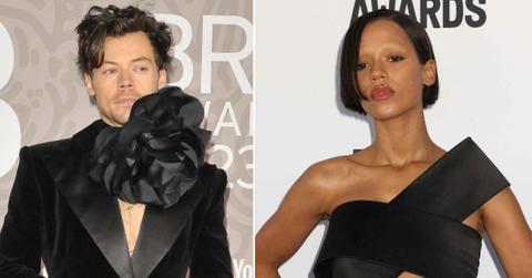 harry styles smitten with taylor russell pp