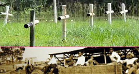 //dozier school florida square