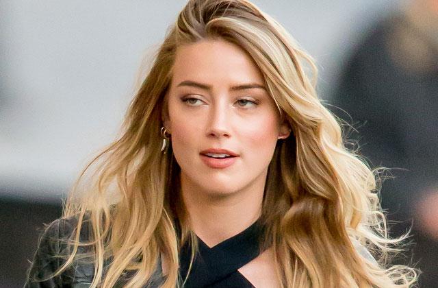 Amber Heard Johnny Depp Divorce Abuse Claims