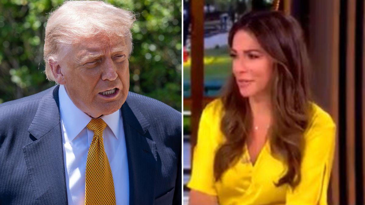 'The View' co-hosts weighed in on Trump's new proposed $1.7billion fund.