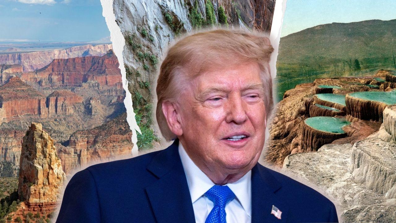 Photo of Donald Trump