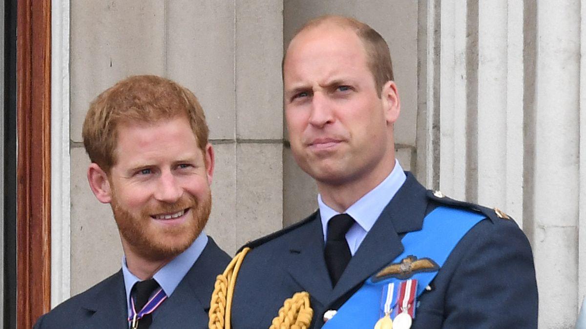 Photo of Princes William and Harry 