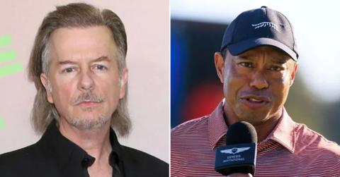 Photo of David Space, Tiger Woods