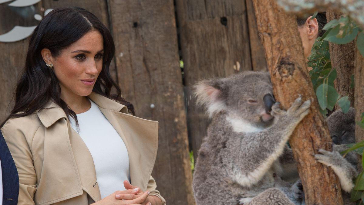 Photo of Meghan Markle. 