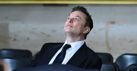 ashley st clair elon musk paternity suit legally name billionaire dad