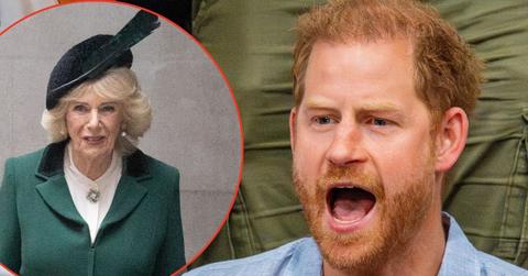 Photo of Prince Harry and Queen Camilla