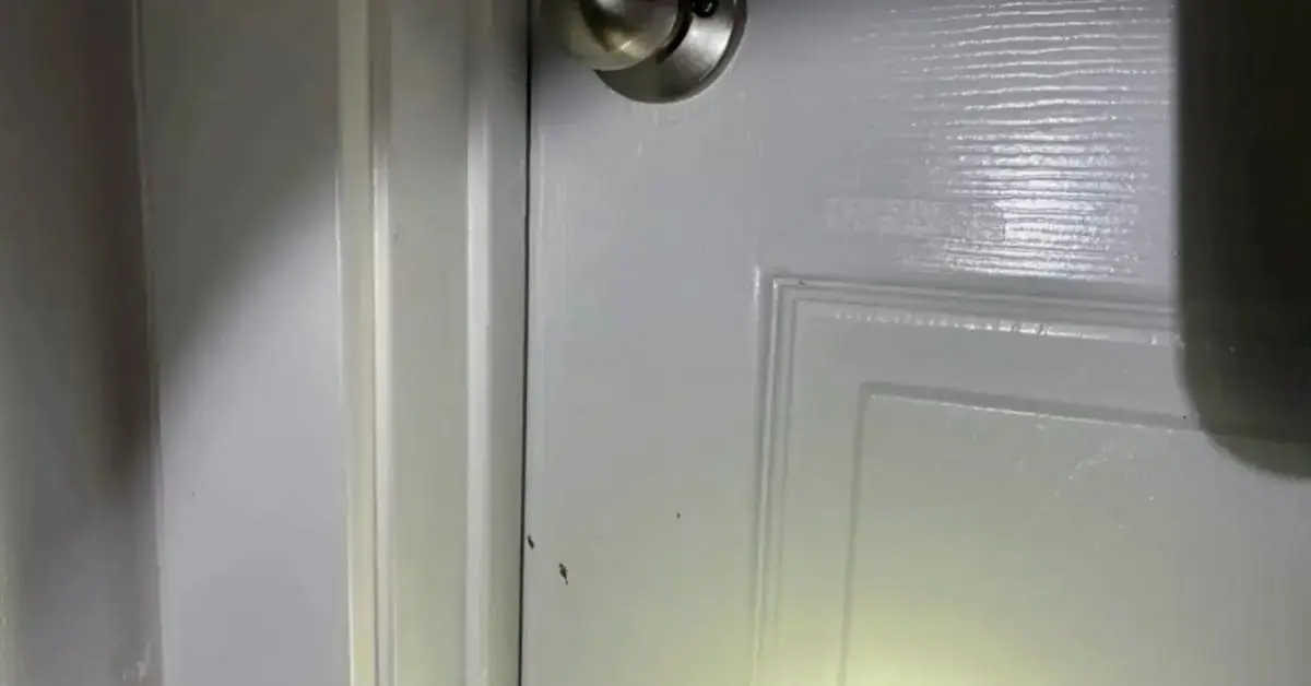 Photo of apparent splatter on door