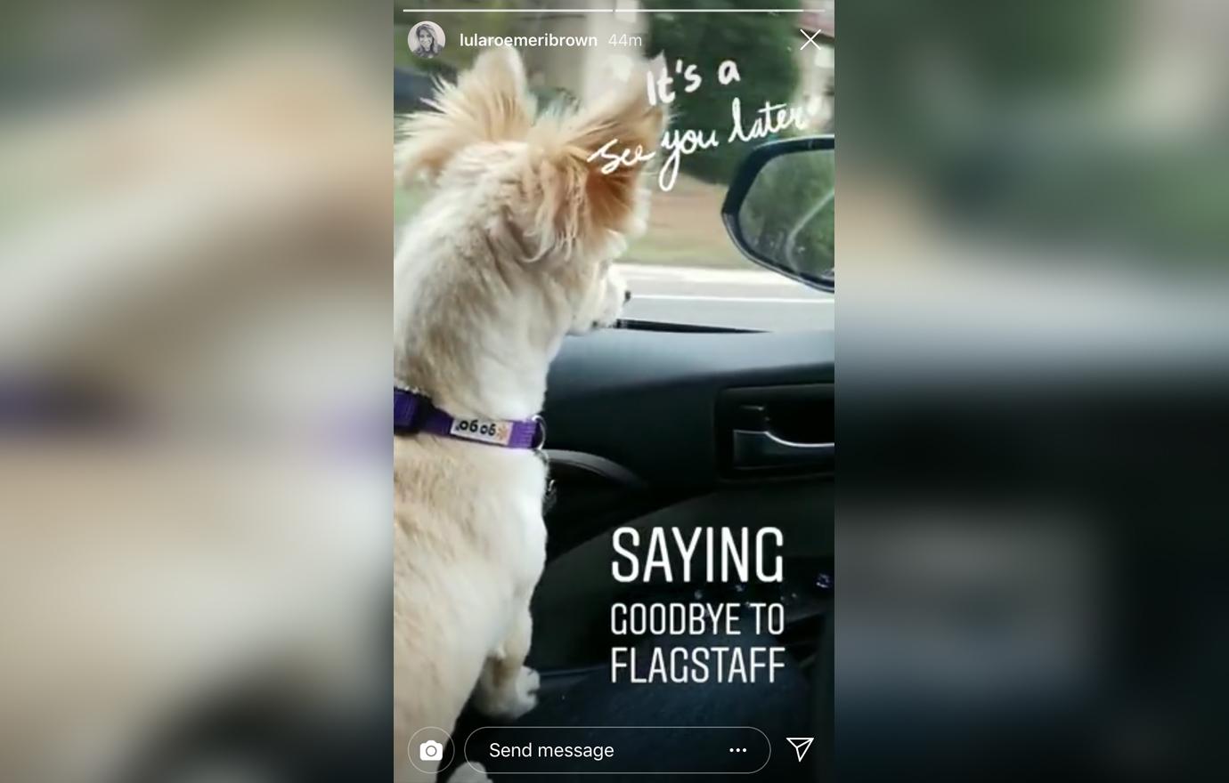 Meri Brown takes a photo of her dog in the car as the sister wives leave arizona.