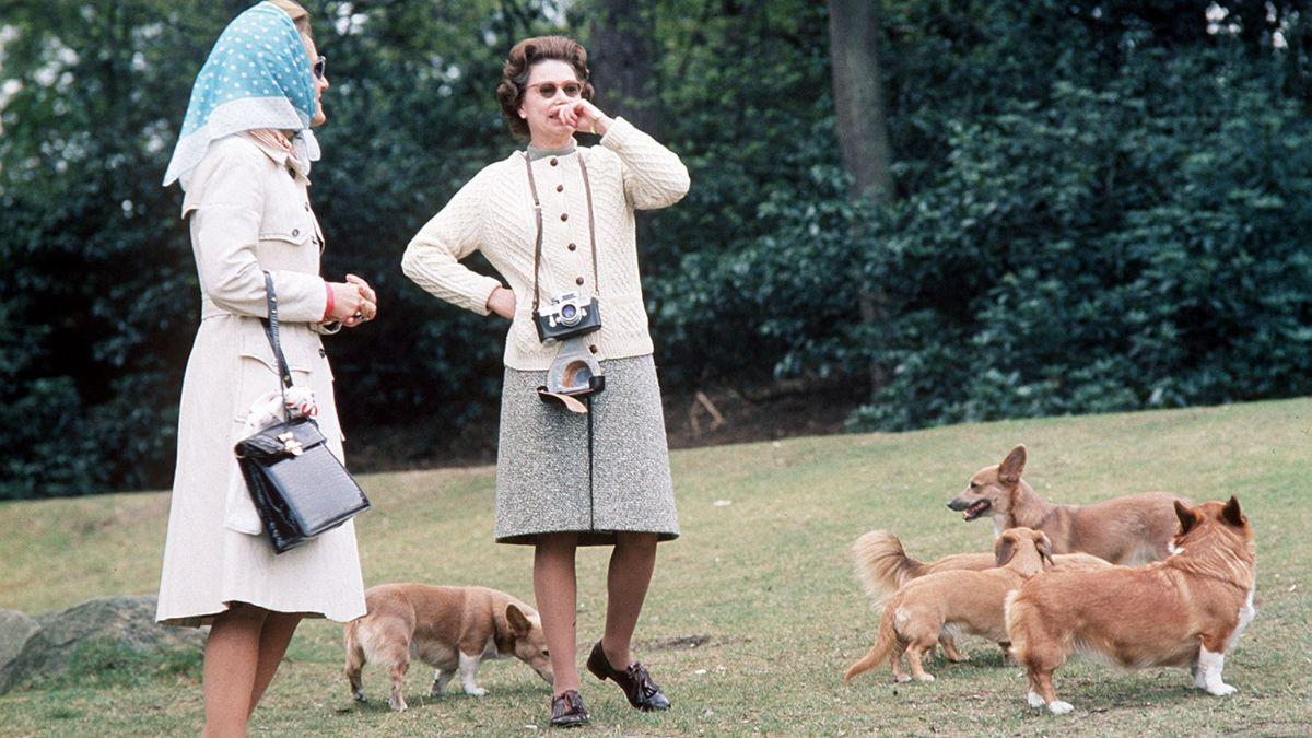 Photo of Queen Elizabeth with her dogs