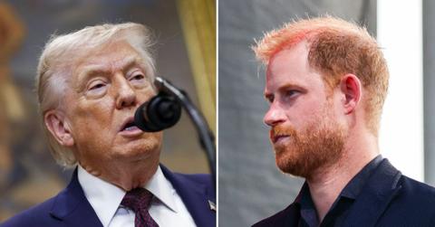 Photo of Donald Trump, Prince Harry