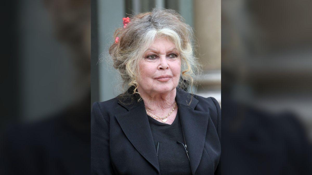 Years before marrying in 1992, Bardot drew criticism for harsh comments about her son, Nicolas-Jacques.