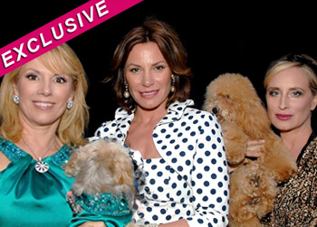 //real housewives holidays bravo