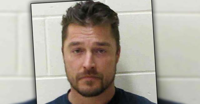 chris soules hit run guilty plea