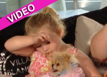 //honey boo boo feed dog