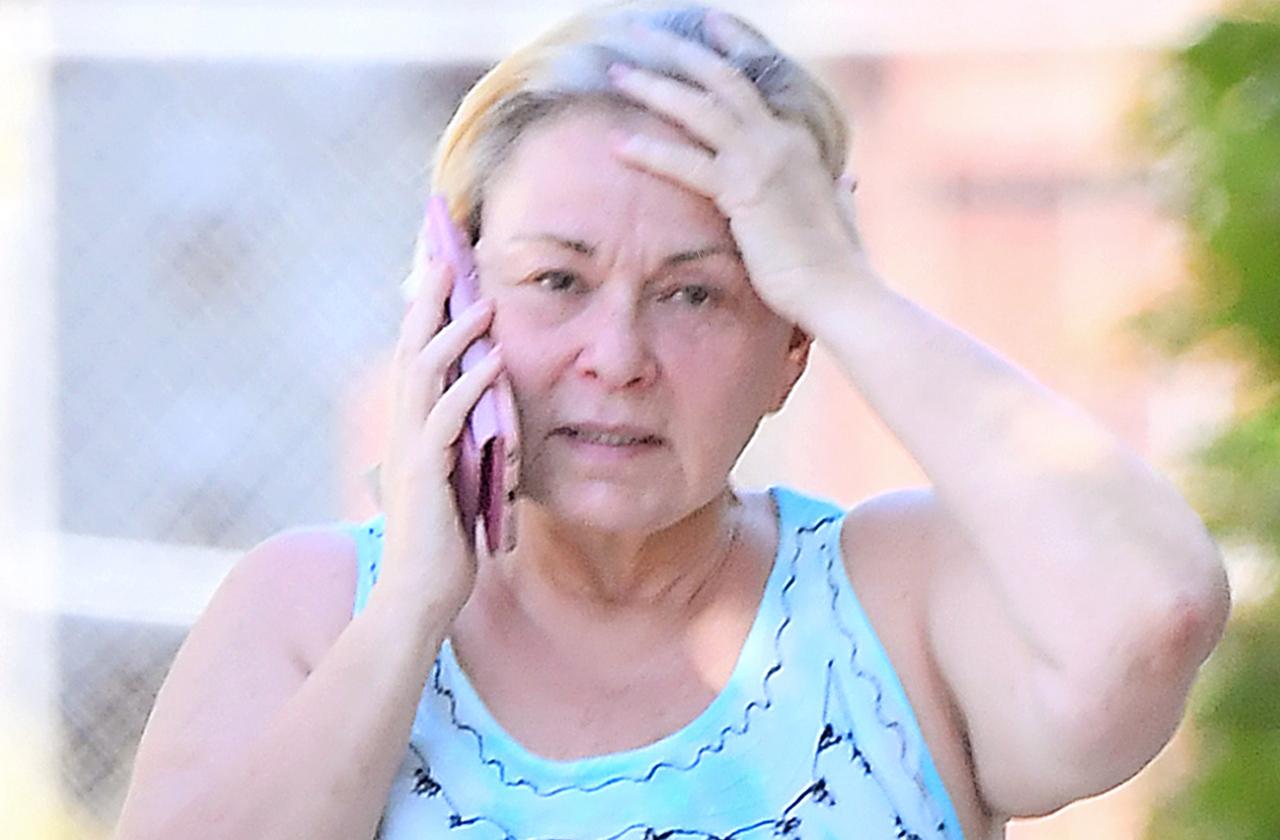 ABC Roseanne Barr Is ‘Miserable’ and Going ‘Off the Deep End’ Two Weeks After Firing