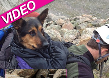 //pp_dogmountainstuck