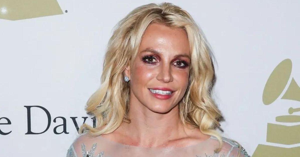 Britney Spears Estranged Sons 