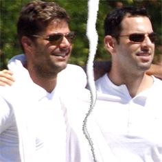 //ricky martin break up long term boyfriend carlos gonzalez