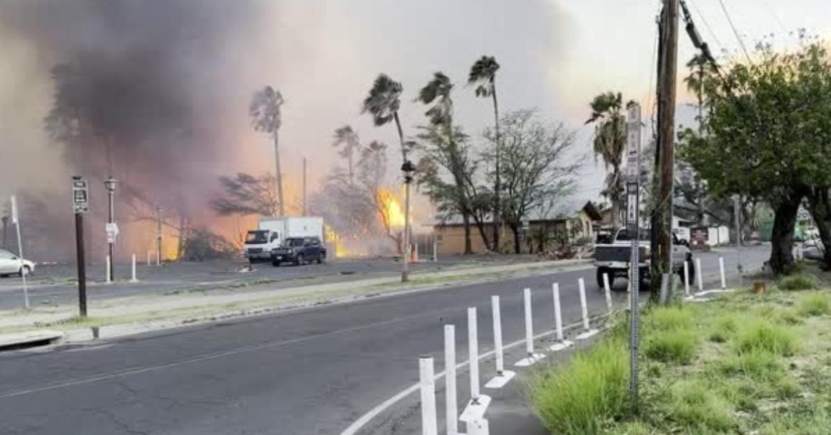 willie nelson maui home safe raging hawaiian wildfires