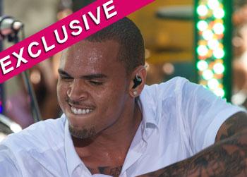 //chris brown no charge brawl