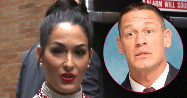 //nikki bella charged aggravated assault after allegedly breaking girls nose in high school pp