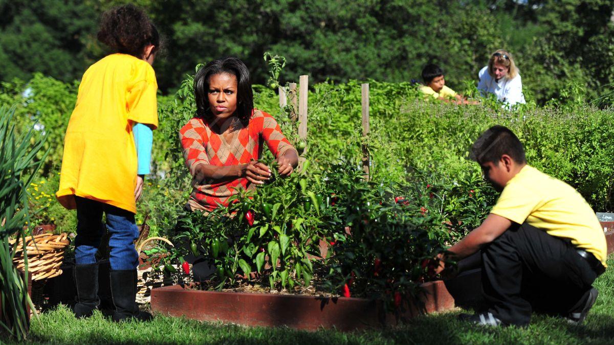 Photo of Michelle Obama