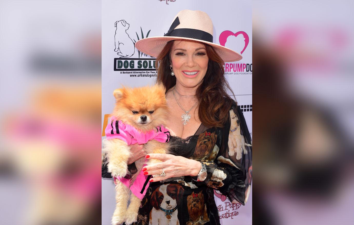 Lisa Vanderpump Attends Dog Day Amid RHOBH Feud