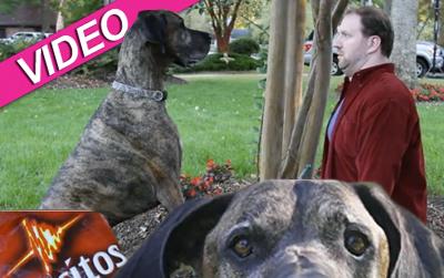 //doritos superbowl post