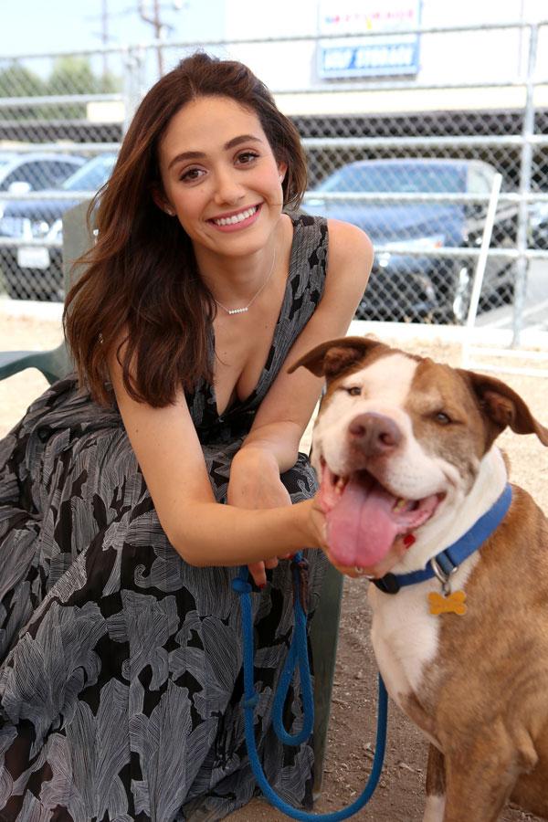 emmy rossum pets windows best friends animal society