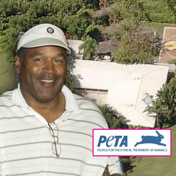 //oj simpson peta house museum