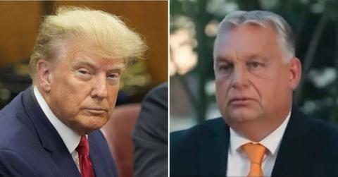 donald trump praises dictator