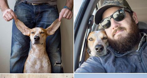 //maddie the coonhound instagram