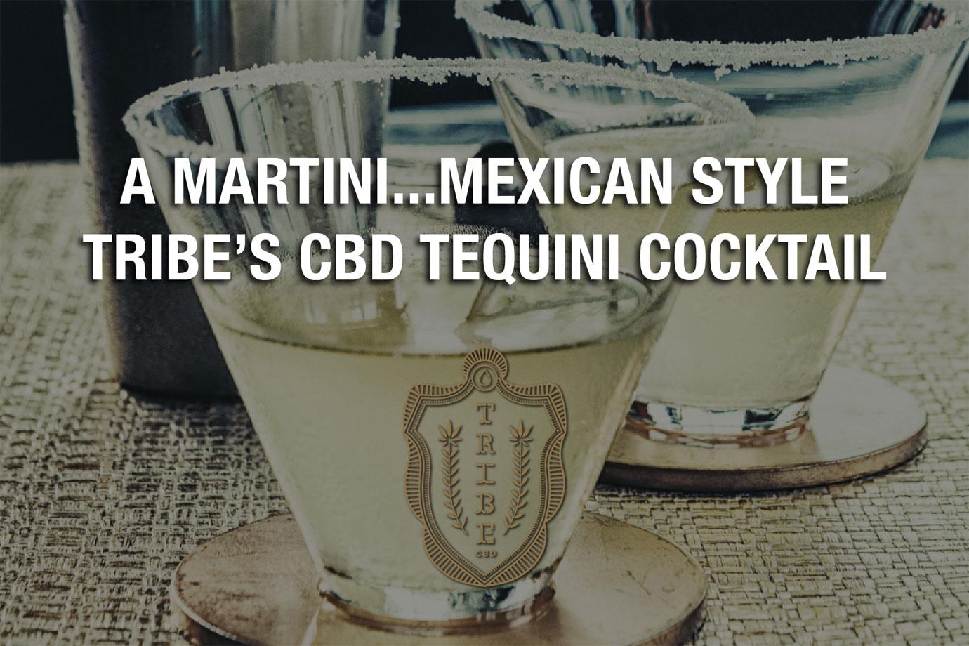 a martini mexican style tribes cbd tequini cocktail