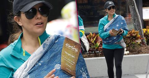 Koala Pees On Eva Longoria