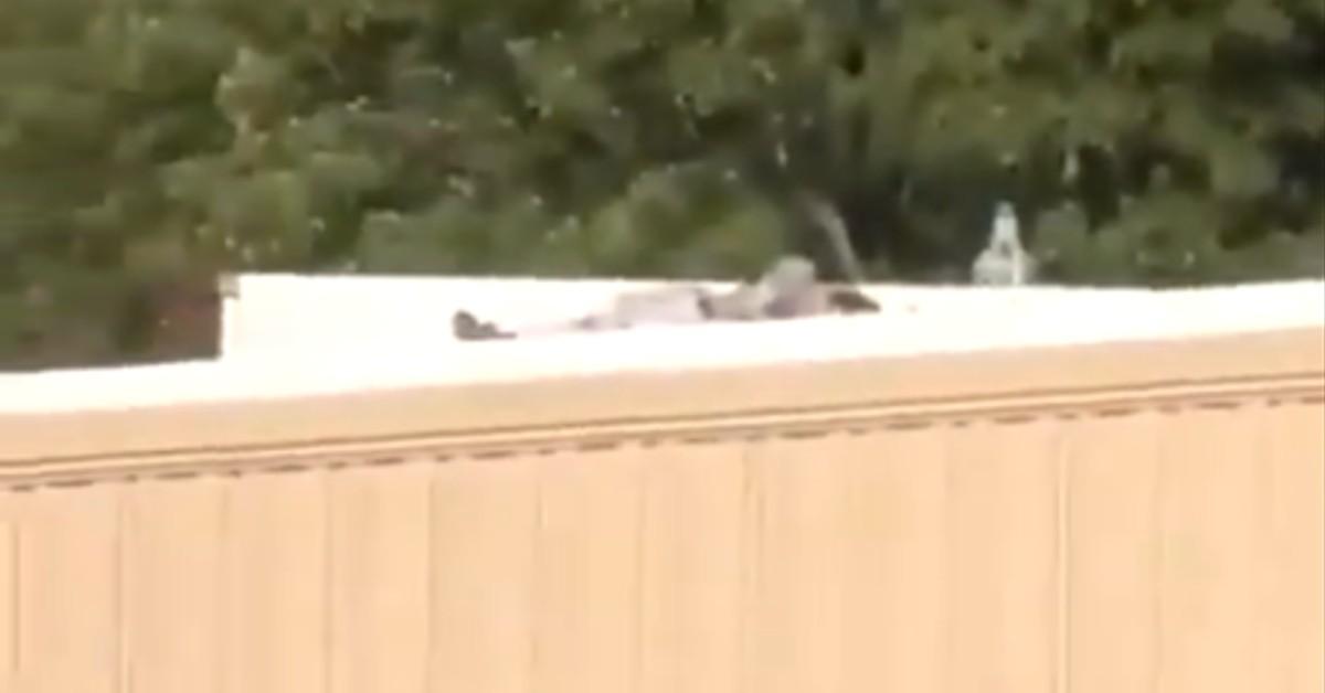 donald trump video sniper rooftop squeezes off  shots eliminated