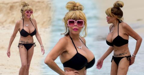 Wendy Williams Curves Bikini