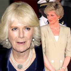 //princess diana camila humiliated charles affairs