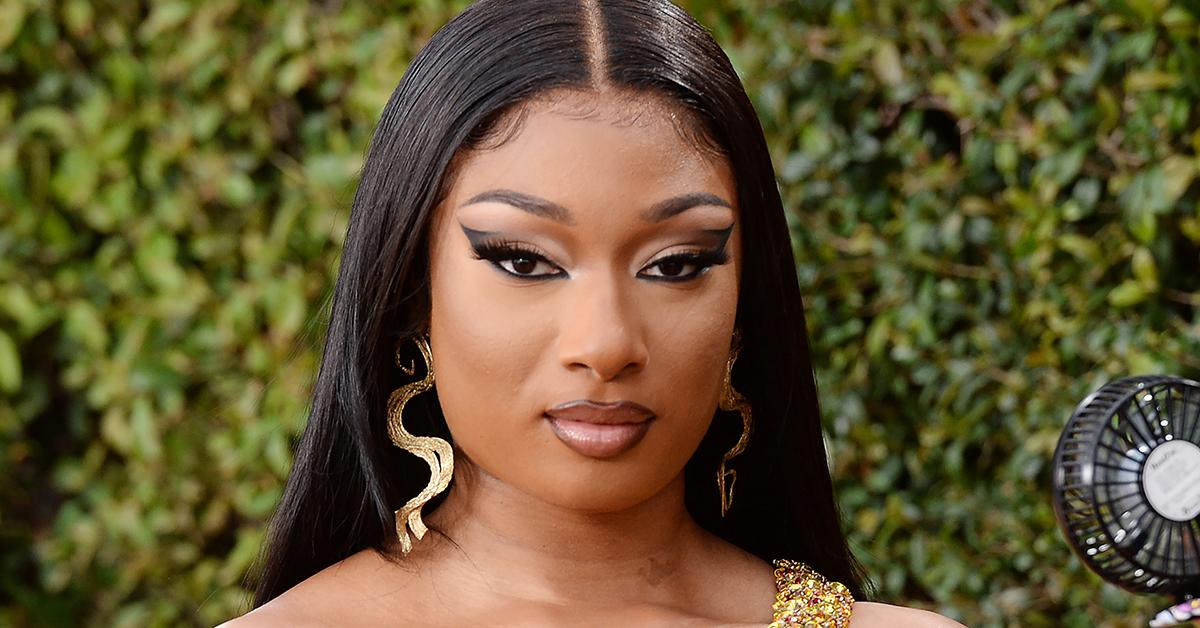 Investigation Launched Into Megan Thee Stallion's Missing Bodyguard