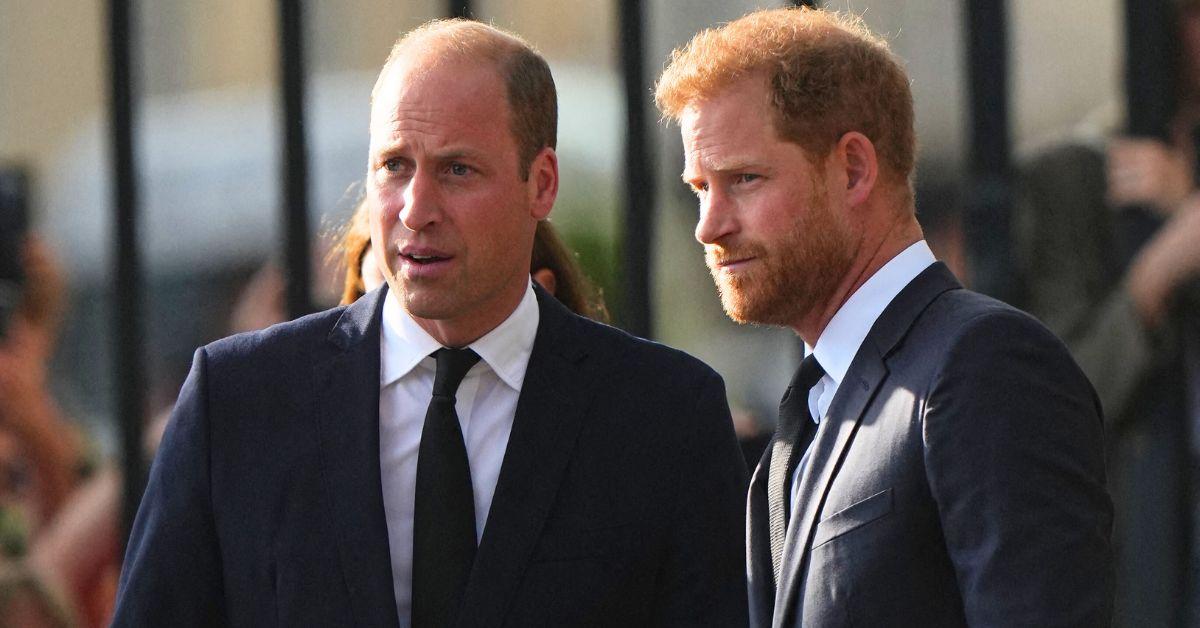 Photo of Prince William and Harry