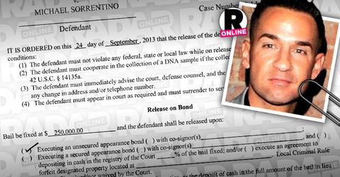 //michael sorrentino the situation judge orders mental health test tax irs pp sl