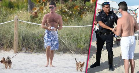 //simon cowel dogs beach police pp