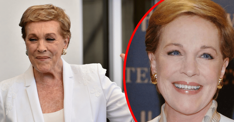 Julie Andrews had two stepchildren after her marriage to Blake Edwards.
