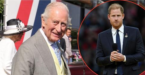 Photo of Prince Harry and King Charles