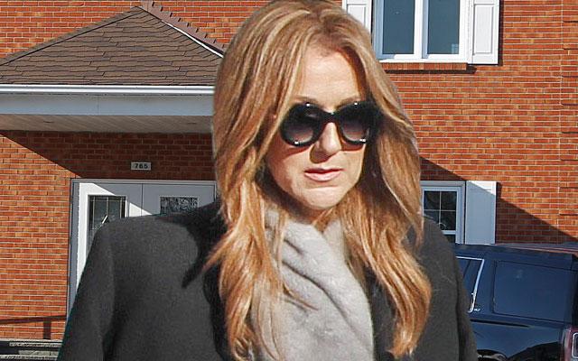 Celine Dion Arrives At Chapel For Brother Daniel Dion's Funeral With Mother & Sister