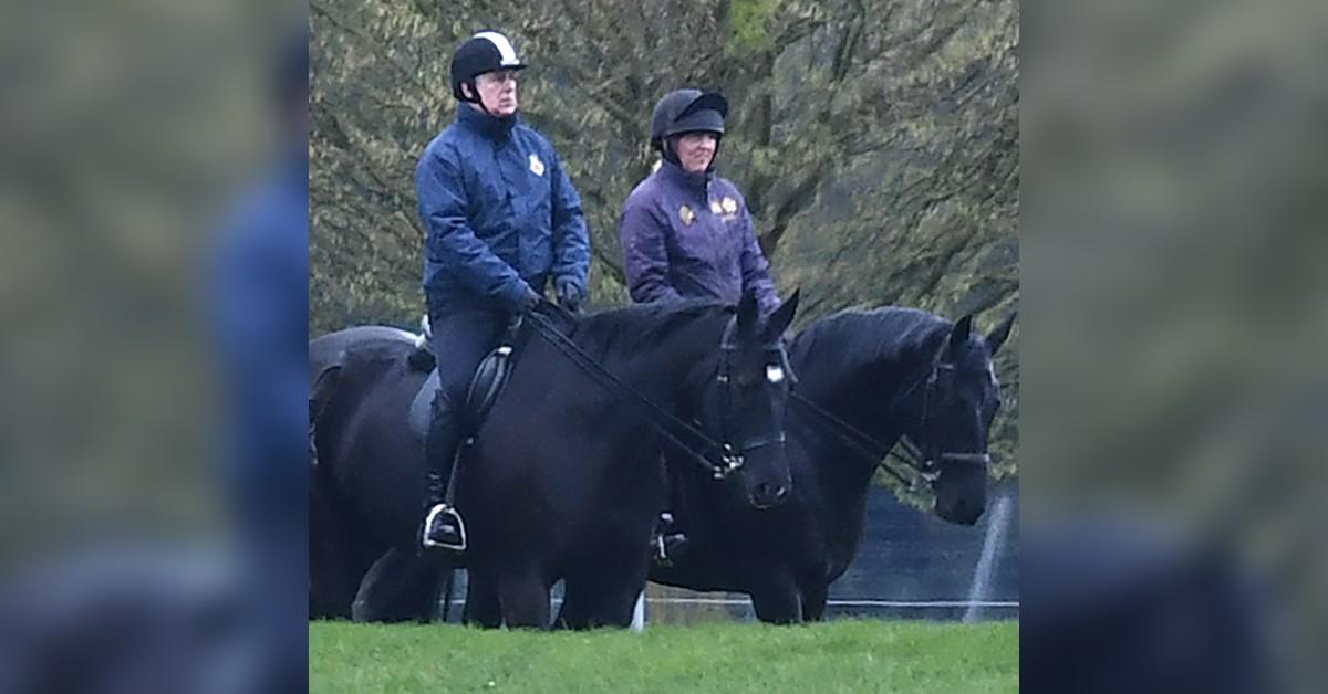 Photo of Andrew Windsor