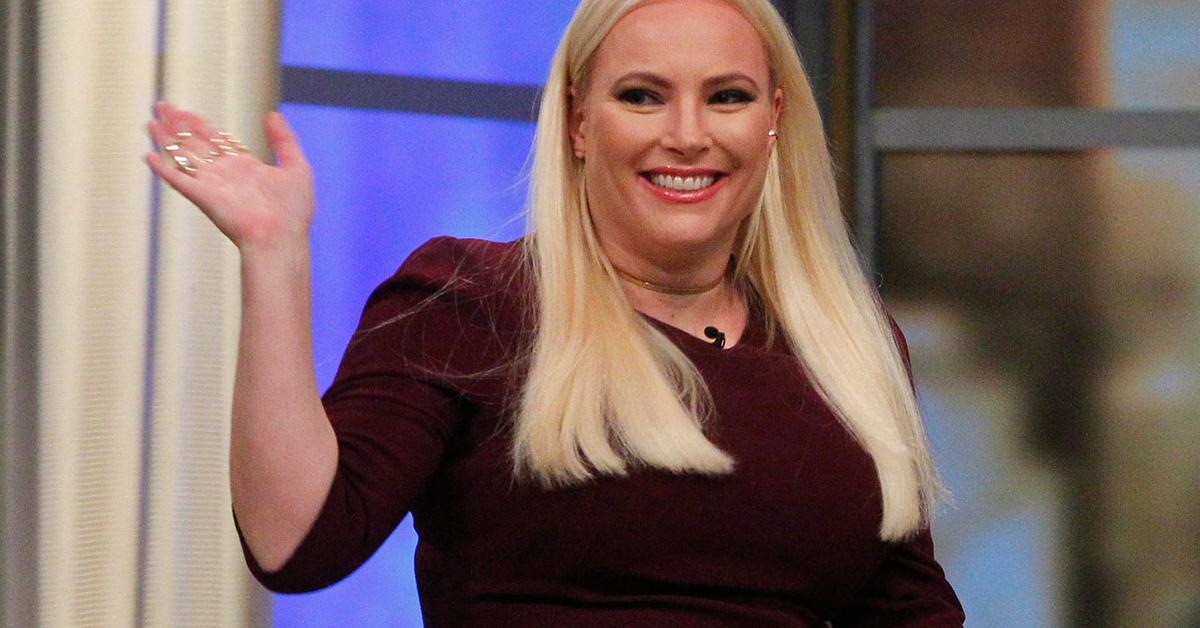 mehgan mccain net worth - Ilustrasi 2