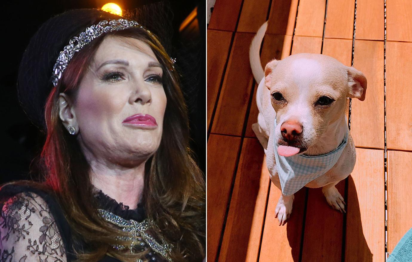 Celebrity Pet Deaths Of 2019