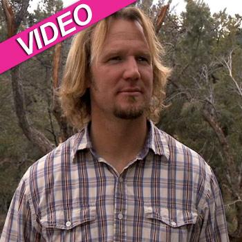 //sister wives kody brown advice